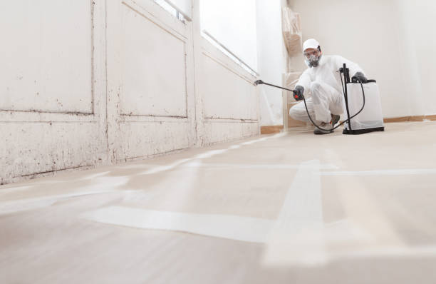 24/7 Emergency Mold Remediation experts in Bloomingdale, IL